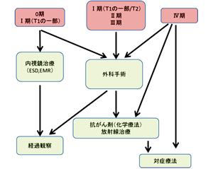 大腸がんの治療