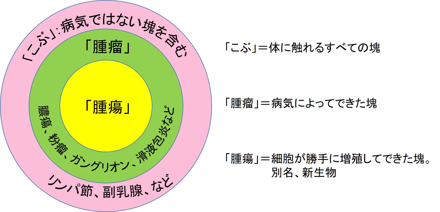 骨軟部腫瘍