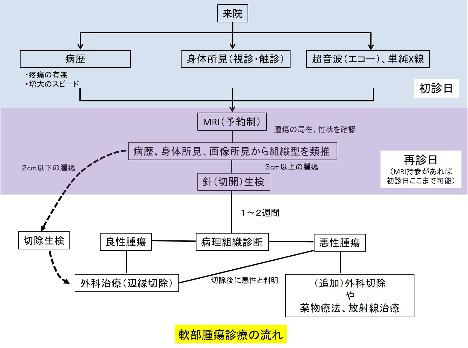 軟部腫瘍診療の流れ