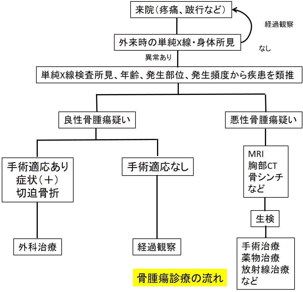 骨腫瘍診療の流れ