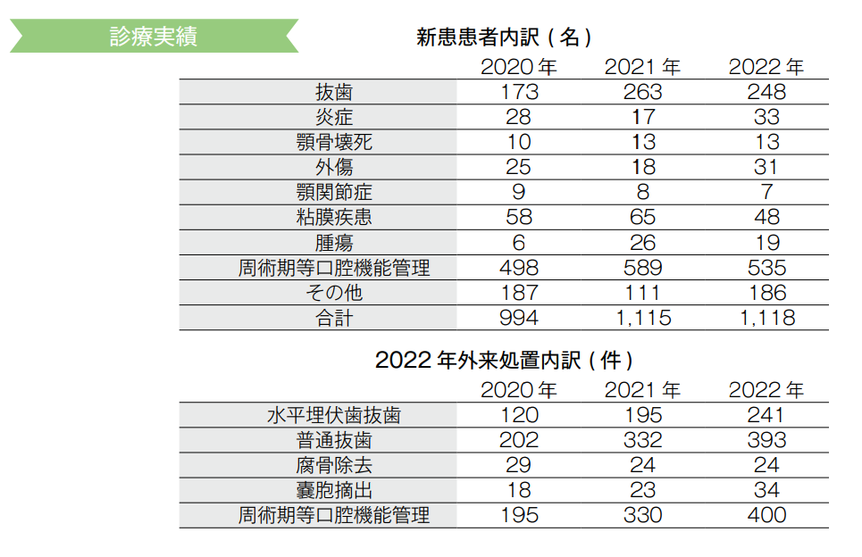 診療実績